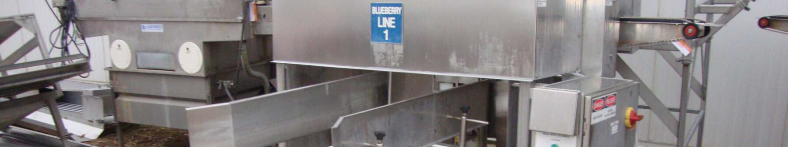 blueberry line 1